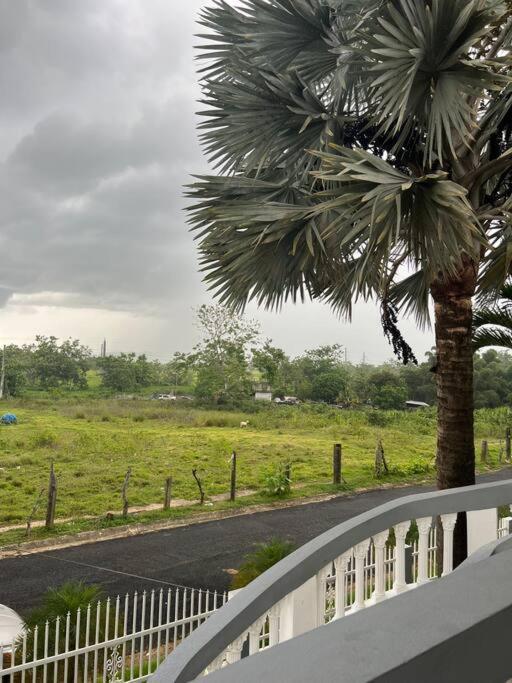 Mayaguez Spacious 3 Bedroom Villa エクステリア 写真