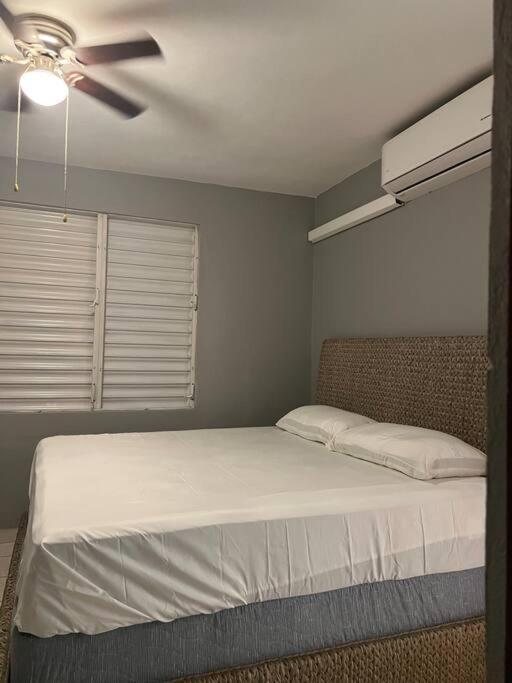 Mayaguez Spacious 3 Bedroom Villa エクステリア 写真