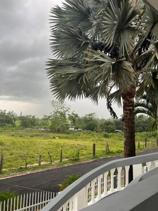 Mayaguez Spacious 3 Bedroom Villa エクステリア 写真