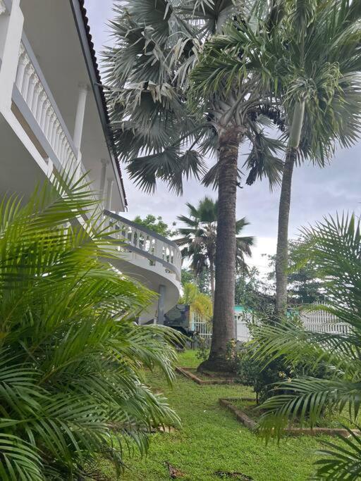 Mayaguez Spacious 3 Bedroom Villa エクステリア 写真